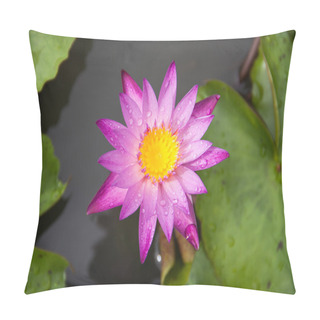 Personality  Color Lotus Pillow Covers