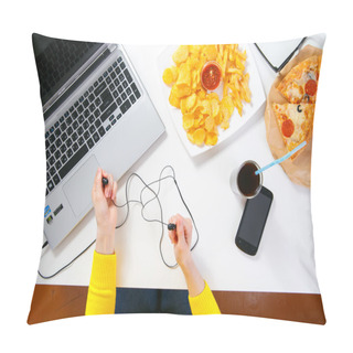 Personality  Woman Working At The Computer  Pillow Covers