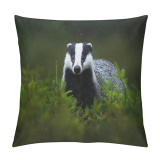 Personality  Badger In The Green Forest. Cute Mammal In Environment, Rainy Day, Germany, Europe. Wild Badger, Meles Meles, Animal In The Wood.       Pillow Covers