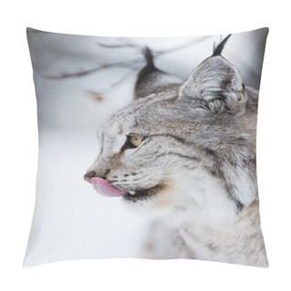Personality  Close Up Of Lynx Licking Lips Pillow Covers