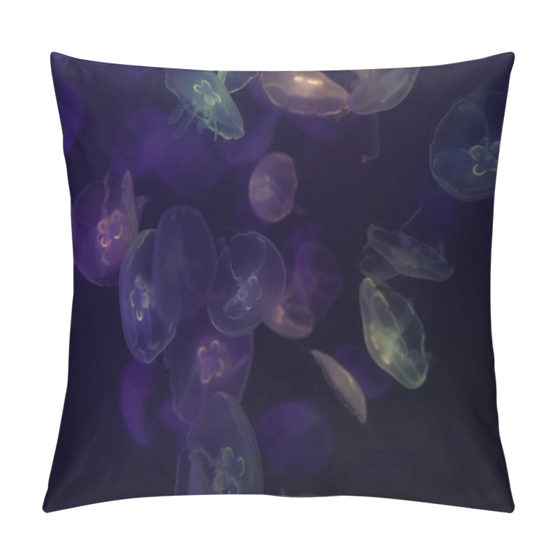 Personality  Moon jellyfish underwater. pillow covers