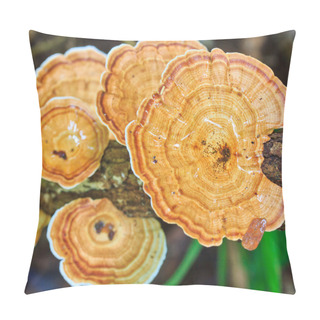 Personality  Brown Mushrooms In Forest Pillow Covers