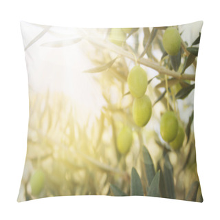 Personality  Old Olive Tree Pillow Covers