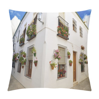 Personality  Street Scene With Pots Of Flower In The Wall, Cordoba, Andalusia Pillow Covers