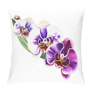Personality  Three Beautiful Colorful Bloomimg Orchid Flowers. Watercolor Painting. Exotic Plant. Floral Print. Botanical Composition. Wedding And Birthday. Greeting Card. Flower Painted Background. Hand Drawn Illustration. Pillow Covers