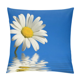 Personality  A White Daisy In The Sky Pillow Covers