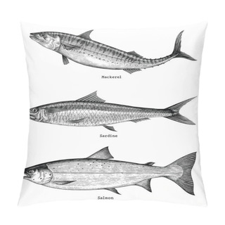 Personality  Mackerel,Sardine,Salmon Fishes Hand Drawing Vintage Engraving Illustration Pillow Covers