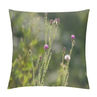 Personality  Silybum Marianum Blooms In A Summer Field Pillow Covers