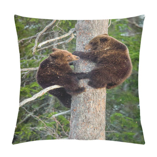 Personality Bear-cubs Have Climbed On Pine Tree Pillow Covers