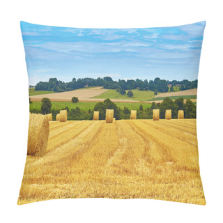 Personality  Golden Hay Bales In Countryside Pillow Covers