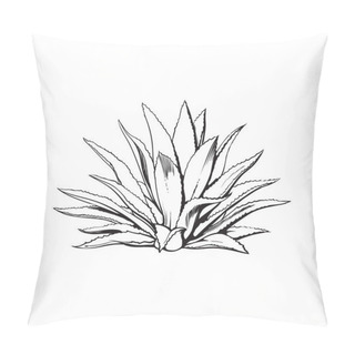 Personality  Hand Drawn Blue Agave, Main Tequila Ingredient Pillow Covers