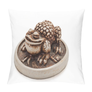 Personality  Netsuke Toad On A Gold Coin Pillow Covers