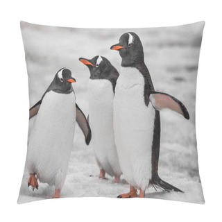 Personality  Close-up Three Penguins . Antarctic Mountains. Pillow Covers