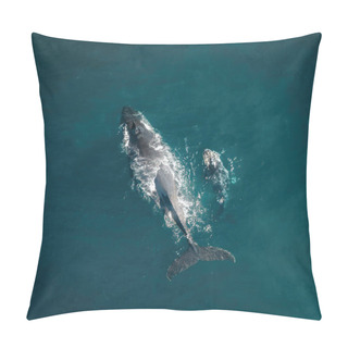 Personality  Humpback Whale And Calf Aerial Drone Shot Sleeping On The Surface Of The Ocean In Australia, New South Wales Pillow Covers
