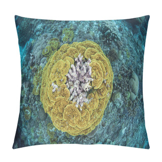 Personality  Reef-Building Corals Pillow Covers