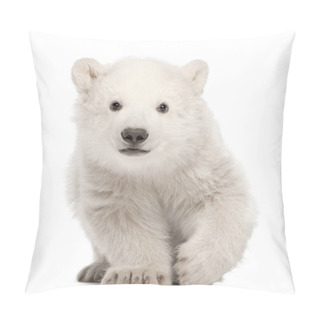 Personality  Polar Bear Cub, Ursus Maritimus, 3 Months Old, Standing Against  Pillow Covers