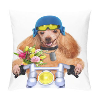 Personality  Motorbike Dog Pillow Covers