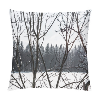 Personality  Selective Focus Of Dry Branches With Forest On Background Pillow Covers