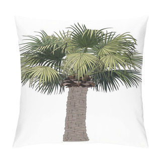 Personality  Vector Hand Drawn Plant Clipart Pillow Covers