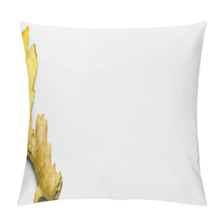 Personality  Top View Of Fresh Cut Ginger On White Background With Copy Space, Banner  Pillow Covers