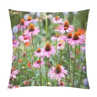 Personality  Beautiful Echinacea Flowers Pillow Covers