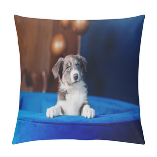 Personality  Cute Border Collie Puppy Pillow Covers