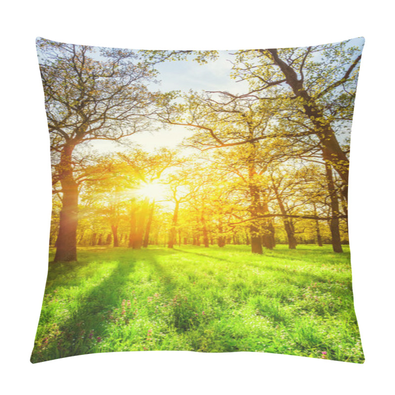 Personality  Morning Sun Beams In The Spring Park Pillow Covers