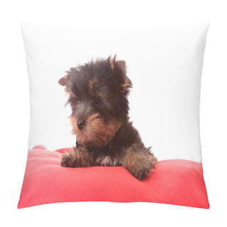 Personality  Small Dog On A Red Pillow, Isolated. Pillow Covers