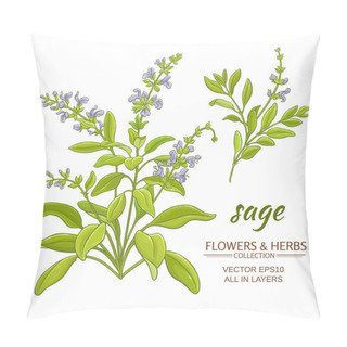 Personality  Sage Vector Illustration Pillow Covers