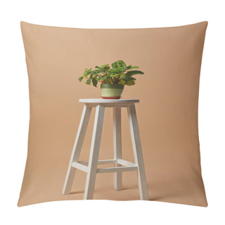 Personality  Plant With Green Leaves In Pot On White Bar Stool On Beige Background Pillow Covers