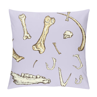 Personality  Series Of Vector Illustrations Of Archaeological Finds. Animal B Pillow Covers