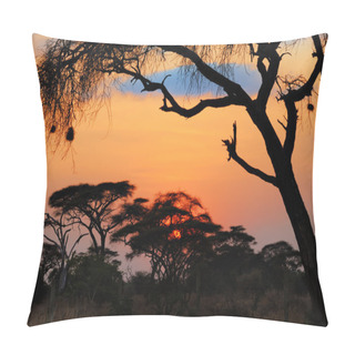 Personality  African Sunset Pillow Covers