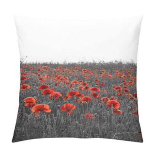 Personality  Beautiful Rememberence Day Poppy Field Landscape With Copy Space Pillow Covers