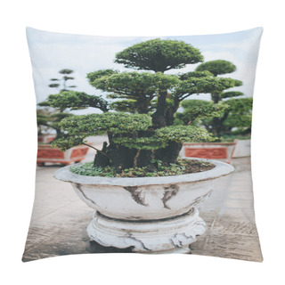 Personality  Bonsai Tree Pillow Covers