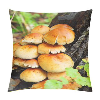 Personality  Mushrooms Pillow Covers