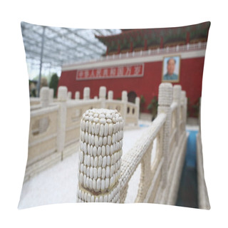 Personality  An Artwork Featuring The Shape Of Tian'anmen Rostrum Made Of Crops Is On Display For The Upcoming 16th China Changchun International Agricultural And Food Fair Expo In Changchun City, Northeast China's Jilin Province, 5 August 2017 Pillow Covers