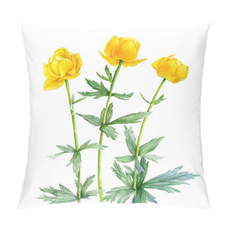 Personality  Watercolor Drawing Globeflowers Pillow Covers