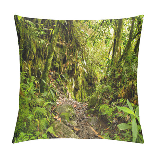 Personality  Tropical Rainforest In The National Park, Ecuador Pillow Covers