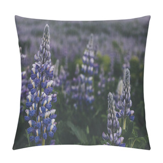Personality  Selective Focus Of Beautiful Purple Lupines In Iceland  Pillow Covers