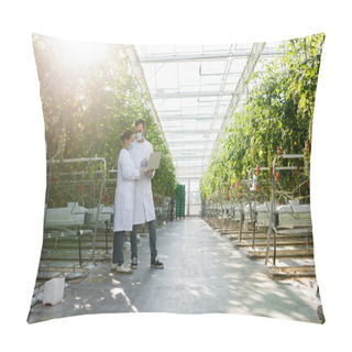 Personality  Interracial Agricultural Technologists In Medical Masks Standing With Laptop Near Tomato Plants In Greenhouse Pillow Covers