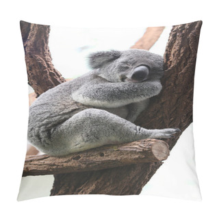 Personality  Koala Pillow Covers