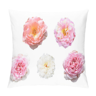 Personality  Pastel Roses/camellia Roses With Branch And Green Leaves Isolated, No Shadow, In White Background, Roses With Clipping Path Pillow Covers