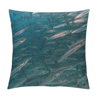 Personality  Shoal Of Blackfin Barracuda In Red Sea.  Pillow Covers