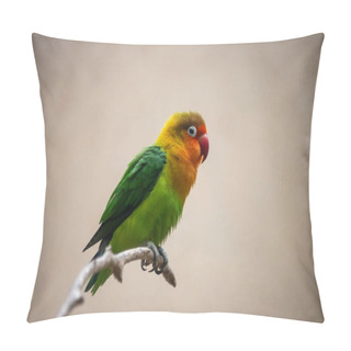Personality  Tokyo, Japan, 31 October 2023: Colorful Parrot Perched On A Branch In A Zoo Environment Pillow Covers