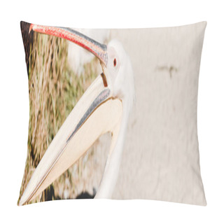 Personality  Panoramic Shot Of Pelican With Big Beak Screaming In Zoo  Pillow Covers