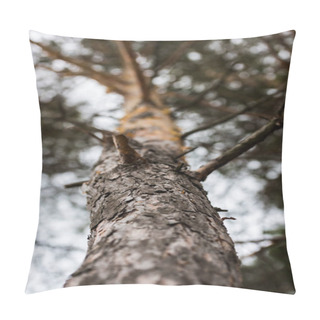 Personality  Pine Tree Pillow Covers