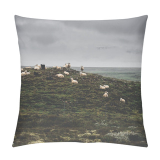 Personality  Sheep Pillow Covers