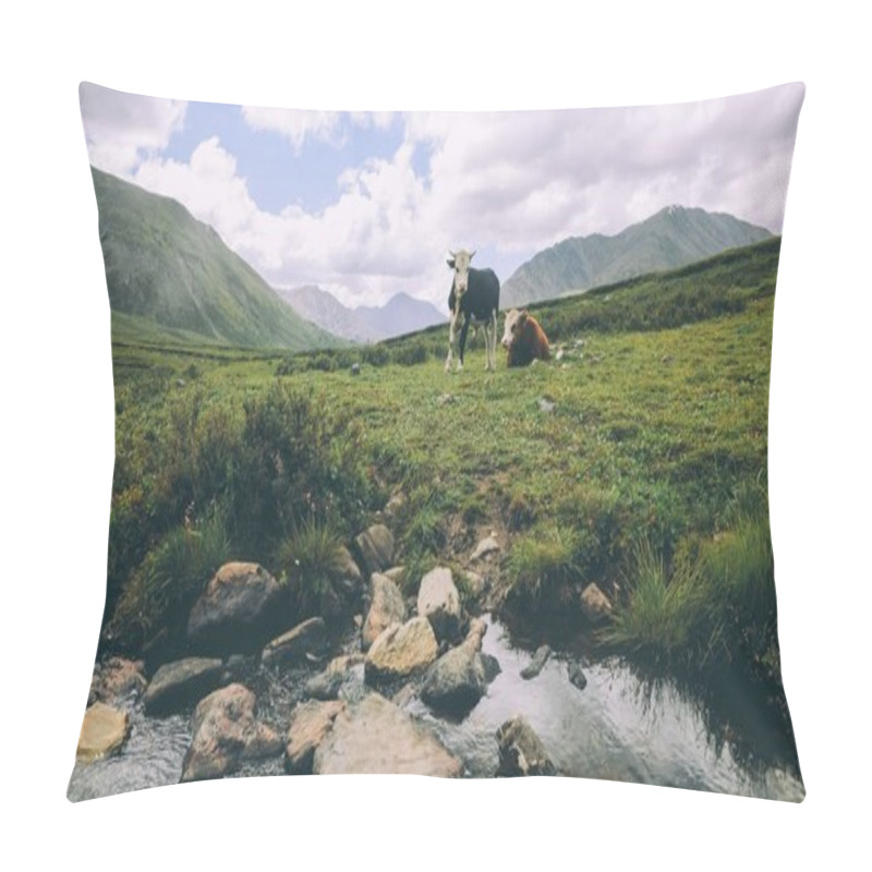 Personality  cows grazing on green grass in mountain valley, Indian Himalayas, Rohtang Pass pillow covers