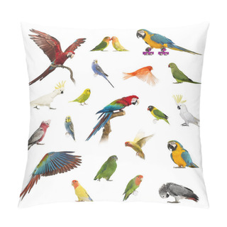 Personality  Large Collection Of Bird, Pet And Exotic, In Different Position Pillow Covers