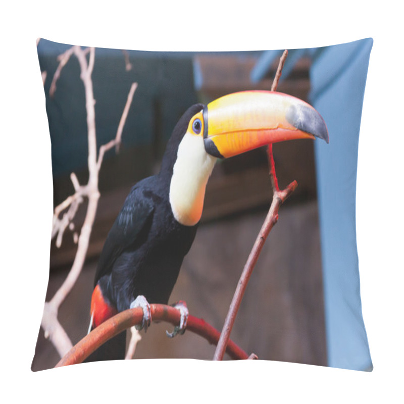 Personality  Tucán Toco Pillow Covers